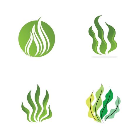 seaweed sea of nature logo vector illustration design Moss Logo Design, Seaweed Logo Design, Seaweed Illustration, Seaweed Design, Nature Logo, Clever Tattoos, Fern Plant, Sea Moss, Natural Logo