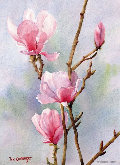 watercolor painting flower Watercolor Paintings Easy, Watercolor Flower Art, Cat Air, 수채화 그림, Watercolor Flowers Paintings, Painting Gallery, Beginner Painting, Flower Art Painting, Dark Background