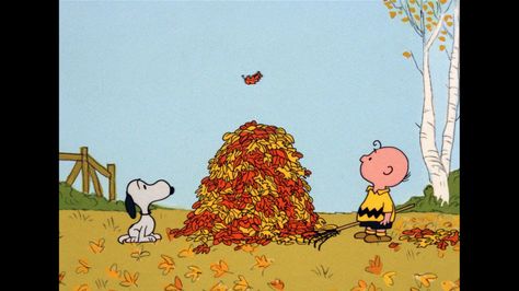 Great wallpaper from "It's the Great Pumpkin, Charlie Brown" (1966) (http://www.cinemasquid.com/blu-ray/movies/screenshots/sets/its-the-great-pumpkin-charlie-brown/bbe7fd52-a7bb-4a70-99ad-8409759c70c6) Charlie Brown Wallpaper, Peanuts Wallpaper, The Great Pumpkin Charlie Brown, It's The Great Pumpkin Charlie Brown, Charlie Brown Thanksgiving, Great Pumpkin Charlie Brown, It's The Great Pumpkin, The Great Pumpkin, Charlie Brown Snoopy