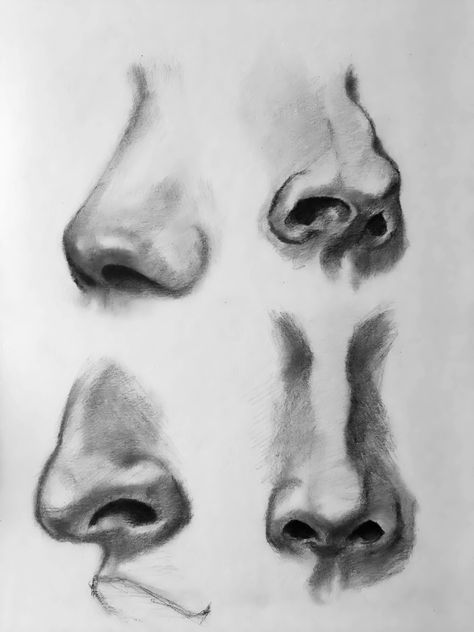 Nostrils Drawing, Roman Nose Reference, How To Draw Collar Bones, Roman Nose Side Profile, Crooked Nose Drawing, Different Noses Drawing, Big Nose Drawing, Sketching Noses, Hooked Nose Front View