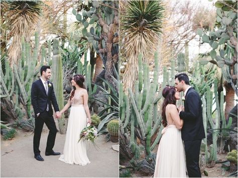 Botanical Garden Photoshoot, Garden Photoshoot, Wedding Locations California, Pregnancy Photo Shoot, Botanical Garden Wedding, Atlanta Botanical Garden, Desert Botanical Garden, Botanical Gardens Wedding, Greenhouse Wedding