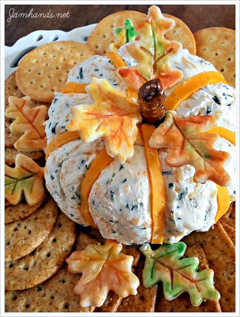 Jam Hands: Cheddar & Chive Pumpkin Cheese Ball Baking Appetizers, Pumpkin Cheeseball, Dinner Savory, Pumpkin Cheese Ball, Savory Baking, Thanksgiving Appetizer, Recipe Thanksgiving, Plate Presentation, Autumn Holiday