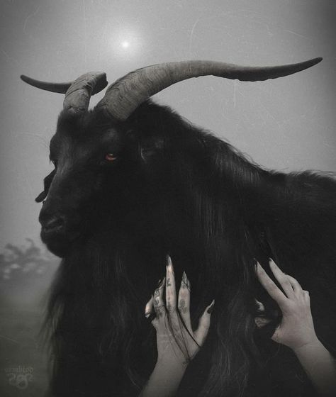 🜏Ley de Luz𓃵 on Instagram: “From: @ormblod . . . #sataniccommunity #satanism #satanas #baphomet #sigilofbaphomet #belcebu #darkart #satan #satanismo #infierno…” Black Phillip The Witch, Black Phillip, Black Goat, Goat Skull, Goat Art, Black Magick, Gothic Wallpaper, Witch Magic, Occult Art