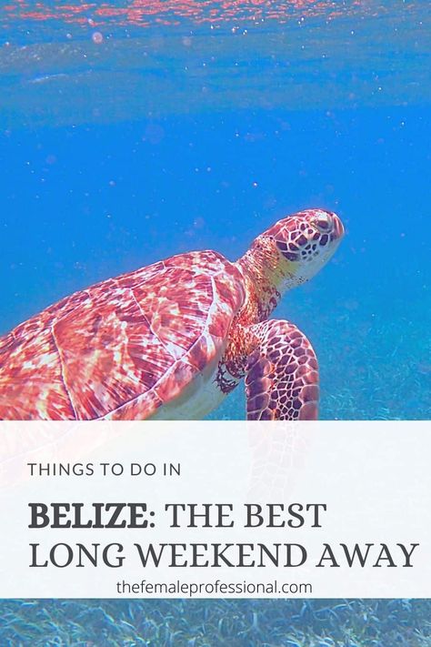 Things To Do In Belize: Your Next Favorite Getaway Things To Do In Belize, Belize Beach, Belize Resorts, Belize Vacations, Long Weekend Getaways, Belize City, Weekend Escape, Water Activities, Great Barrier Reef