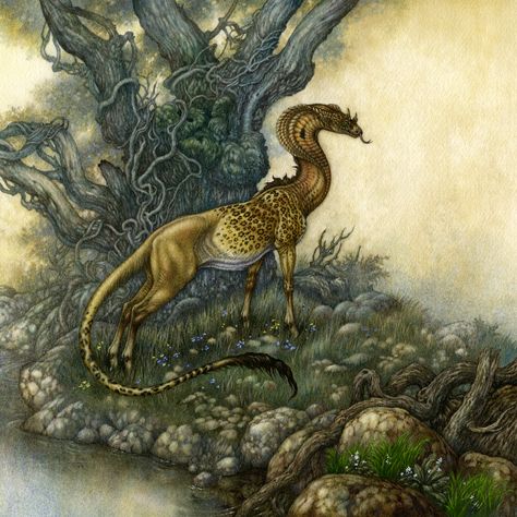 Himmapaan | The Questing Beast | Cover illustration for The Arthurian Concordance, ‘an encyclopedia of all things Arthurian’ by Phyllis Ann Karr Questing Beast, Mythical Monsters, Historia Universal, Fantasy Beasts, Mythical Beast, Mythical Creatures Art, Mythological Creatures, Creature Concept Art, Mystical Creatures