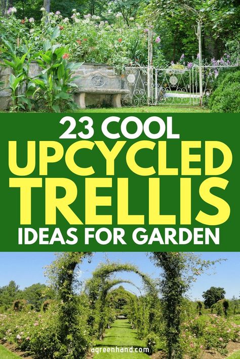 Here're 23 Cool UpCycled Trellis Ideas For Your Garden #gardeningideas #garden #agreenhand Homemade Trellis, Rustic Trellis, Vegetable Trellis, Garden Arch Trellis, Diy Garden Trellis, Arbors Trellis, Arch Trellis, Trellis Ideas, Vertical Vegetable Garden