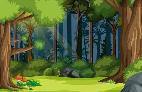 Cartoon Forest Background, Forest Images, Cartoon Forest, Diy Waterfall, Forest Cartoon, Software Art, Hansel Y Gretel, Amazon Forest, Vector Nature