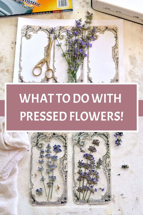 What to do with Pressed Flowers! Dried Flower Ideas Diy, Pressed Flower Crafts Diy, Plant Pressing, Crafts Dried Flowers, Diy Pressed Flowers, Diy Pressed Flower Art, Flowers Bookmarks, Dried Flowers Crafts, Textiles Ideas