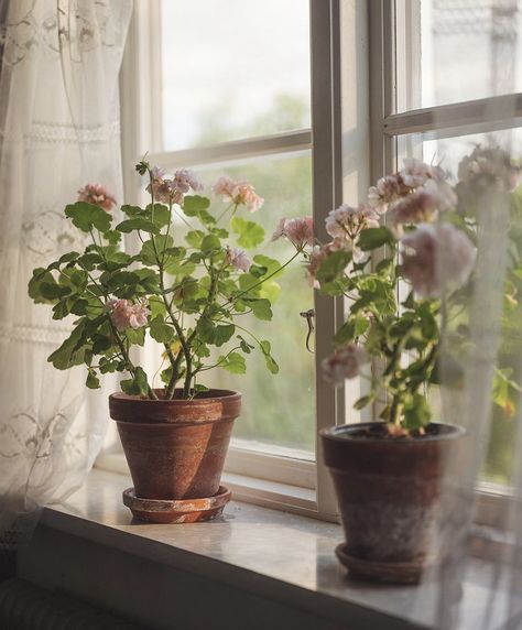 Window Sill Decor, Window Plants, Balcony Flowers, Flower Vase Arrangements, Indoor Herb Garden, Bedroom Plants, Vase Arrangements, French Country Cottage, House Plants Indoor