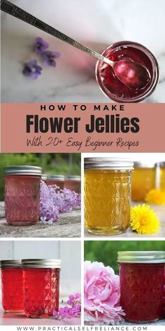 How To Make Preserves, Honey Suckle Jelly Recipe Easy, Herb Jelly Recipes, Foraged Meals, Flower Themed Food, Food Canning Recipes, Jam Canning Recipes, Jams And Jelly Recipes, Jelly Recipes For Canning