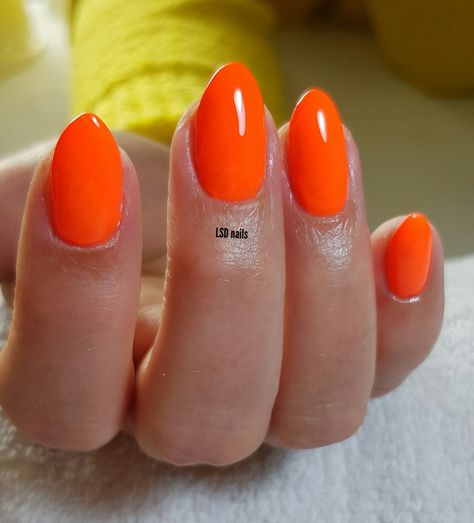 Orange Oval Nails Summer, Bright Orange Nails Almond, Gel Nails Orange Summer Colors, Orange Nails Bright, Neon Orange Acrylic Nails Almond, Acrylic Nails Almond Orange, Neon Orange Nails Almond, Nails For Summer Orange, Short Almond Nails Orange