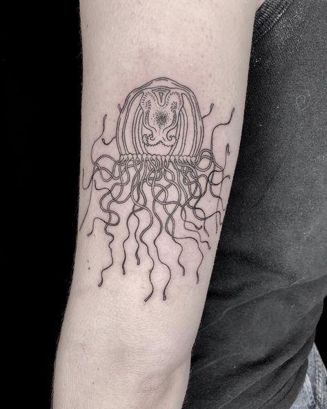 Fine line immortal jellyfish from a while back! . . . . . #finelinetattoo #woodcuttattoo #engravingtattoo #etchingtattoo #naturetattoo… Immortal Jellyfish Drawing, Immortal Jellyfish Tattoo, Immortal Jellyfish, Etching Tattoo, Woodcut Tattoo, Engraving Tattoo, Jellyfish Drawing, Jellyfish Tattoo, Nature Tattoos