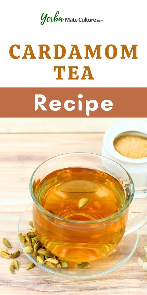 Read this guide to learn all about different types of cardamom teas, how they taste, and how to make them at home. Try these delicious recipes! Cardamom Tea Recipe, Cardamon Recipes, Cardamom Tea, Cardamom Recipe, Christmas Breakfast Recipe, Tea Drink Recipes, Classic Peanut Butter Cookies, Healing Tea, Iced Tea Recipes