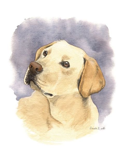 dogpaintings #dogshow #doggy Dog Art Labrador, Dog Illustration Labrador, Dog Sketch Labrador, Labrador Watercolor Painting, Labrador Painting Easy, Labrador Puppy Drawing, Labrador Dog Drawing, Dog Drawing Labrador, Labrador Drawing Simple