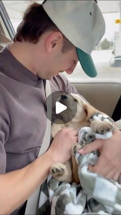 Puppy Videos Cutest, Puppy Videos Funny, Funny Puppy Videos, Puppies Cutest, Beautiful Dogs Photos, Puppy Videos, Funny Puppies, Cute Names For Dogs, Apartment Dogs