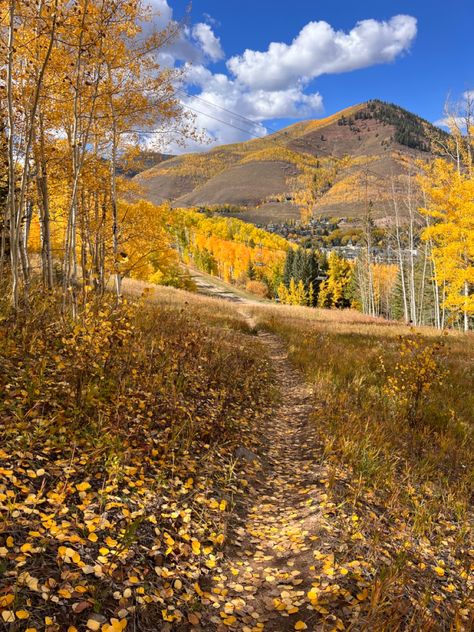 Colorado Autumn Aesthetic, Telluride Colorado Fall, Colorado In Fall, Fall Granola, Hiking Fall, Colorado Girl, 2024 Board, Colorado Fall, Telluride Colorado