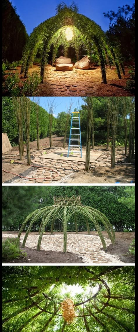 Backyard Dome Ideas, Willow Dome, Above Ground Garden, Garden Arch Trellis, Arch Trellis, Goth Garden, Garden Design Plans, Home Garden Design, School Garden