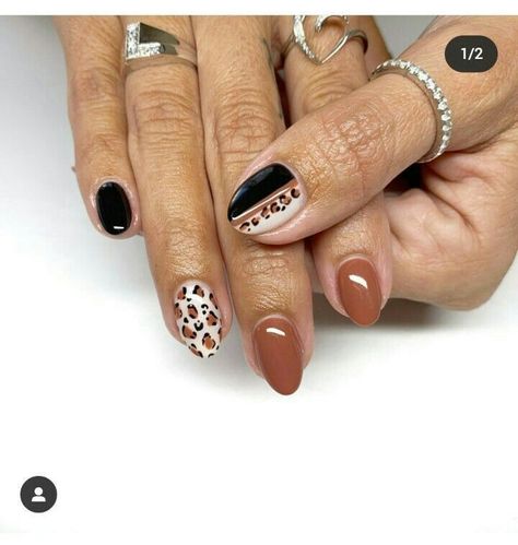 30 Cute Pastel Nail Designs That Are Perfect for Spring | Summer Nails 2023 Short Almond Nails Fall Colors 2023, Fall Manicure Ideas 2024, Diy Cheetah Nails, Fall Colorful Nails, Trending Fall Nails 2024, Cheetah Pumpkin Nails, Fall Cheetah Nails Almond, Thanks Giving Nails Ideas, Spring Cheetah Nails