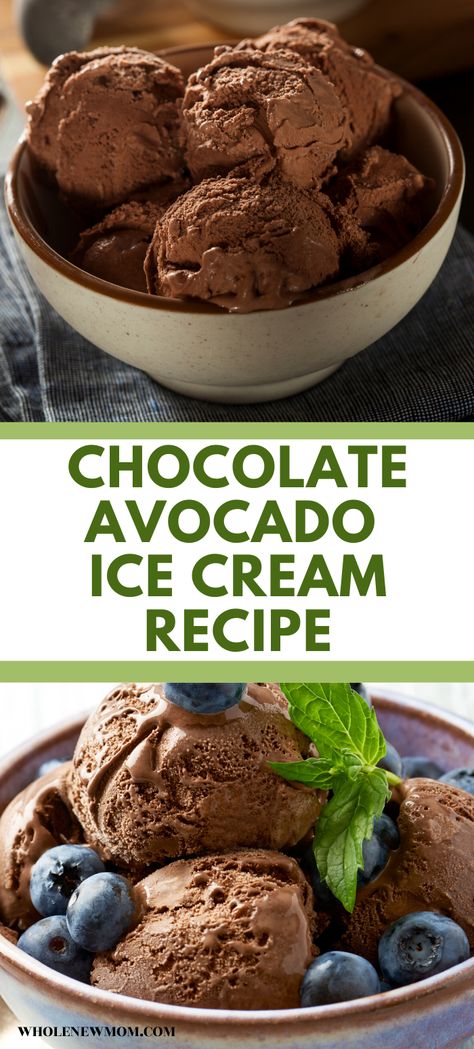 Avocado Coconut Ice Cream, Avocado Ice Cream Ninja Creami, Vegetable Ice Cream Recipes, Simple Avocado Recipes, Avacado Ice Cream, Avocado Dessert Recipes, Chocolate Avocado Ice Cream, Avocado Ice Cream Recipe, Avocado Recipes Dessert