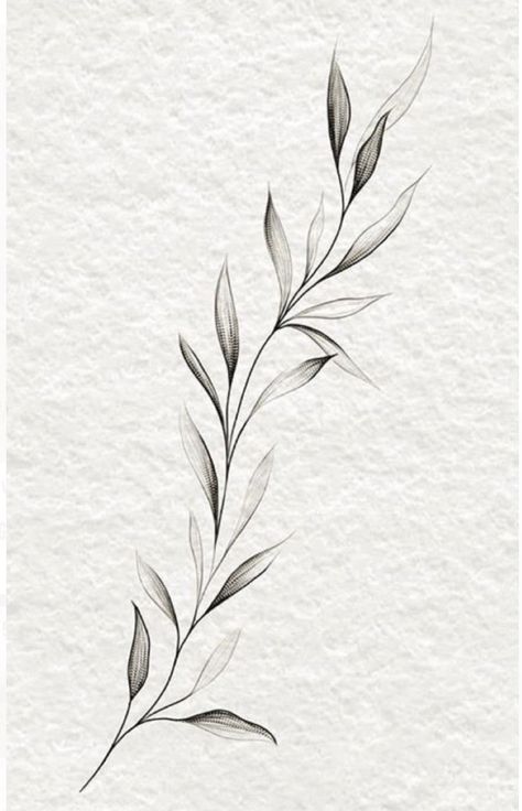 Olive Branch Tattoo, Around Arm Tattoo, Tato Minimal, Wrap Around Tattoo, Wrap Tattoo, Leaf Tattoo, Branch Tattoo, Tato Lengan, Vine Tattoos