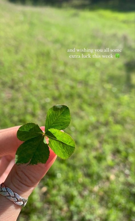 instagram story ideas | spring aesthetic | green grass | four leaf clover | clovers Spring Story Ideas, Instagram Story Ideas Spring, Spring Instagram Story Ideas, Four Leaf Clover Quotes, Plant Instagram Story, Four Leaf Clover Aesthetic, Green Grass Aesthetic, Spring Aesthetic Green, Spring Instagram Story