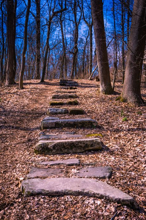 Trail Staircase, Yellow Creek Park Owensboro, Kentucky Owensboro Kentucky, Owensboro Ky, Beauty Places, My Old Kentucky Home, Forest Photography, I Can't Wait, Scenic Views, Weekend Getaways, Love Photography