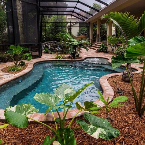 Pool Screen Enclosure, Pool Screen, Ivory Travertine, Indoor Pool House, Screened Pool, Florida Pool, Indoor Pool Design, Travertine Pavers, Pool Life