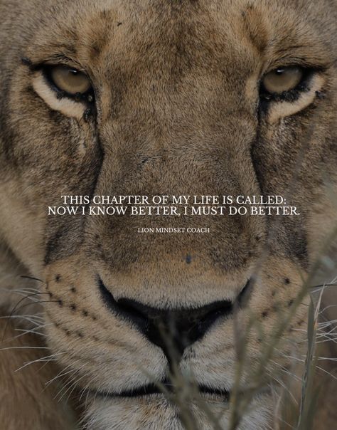 Powerful Quotes For Men, Inspirational Quotes Strength, Motivational Quotes For Success Short, Confident Woman Quotes, Powerful Motivational Quotes For Success, Motivational Quotes Strength, Lion Motivation, Lioness Quotes, Jesus Quotes Powerful