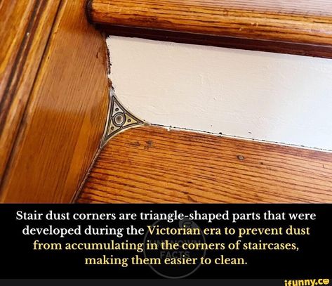 Hahah :) Dust Corners, Victorian Stairs, Science Board, Unknown Facts, The Victorian Era, Mumbai Maharashtra, Boho Living, House Goals, House Designs