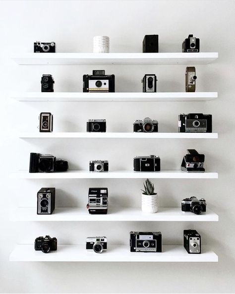 Photographer Home Decor, Photographer Home Office Ideas, Camera Equipment Shelf, Camera Wall Display, Display Camera Collection, Camera Home Decor, Film Camera Display, Home Office Photography Studio, Camera Store Aesthetic