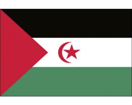 Western Sahara Flag, Barbary Coast, Western Sahara, Modern Western, We Are The World, Flags Of The World, Canary Islands, Africa Travel, North Africa