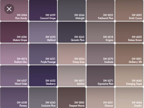 Color scheme for little girls room! Purple and grey walls, tan carpet. Brown accents in furniture. Love it! Bedroom Paint Colors Grey, Plum Paint, Purple Paint Colors, Bedroom Purple, Purple And Brown, Purple Bedroom, Purple Paint, Best Paint Colors, Wall Paint Colors