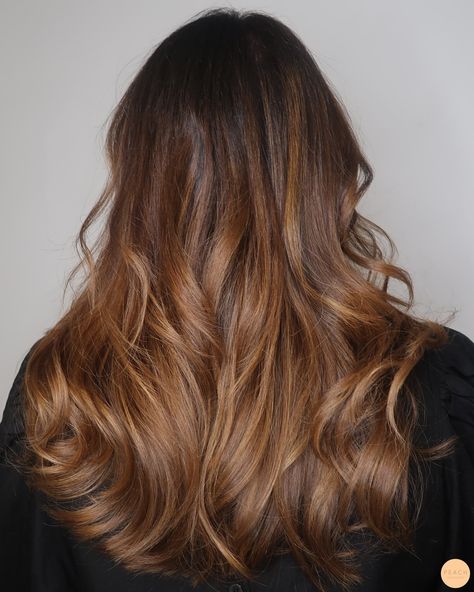 Brun varm balayage hårfärg Rich Brown Hair, One Color, Hair Inspo, Brown Hair, Balayage, Hair Inspiration, Different Colors, Highlights, Hair Color