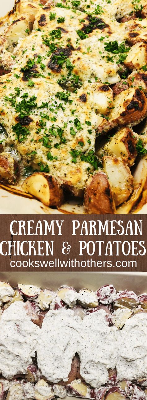 Creamy Parmesan Chicken and Potatoes - Cooks Well With Others Garlic Parmesean Chicken, Parmesan Chicken And Potatoes, Small Potatoes Recipe, Chicken Potato Casserole, Creamy Parmesan Chicken, Baked Garlic Parmesan Chicken, One Pan Meal, Chicken And Potatoes, Baked Chicken Parmesan