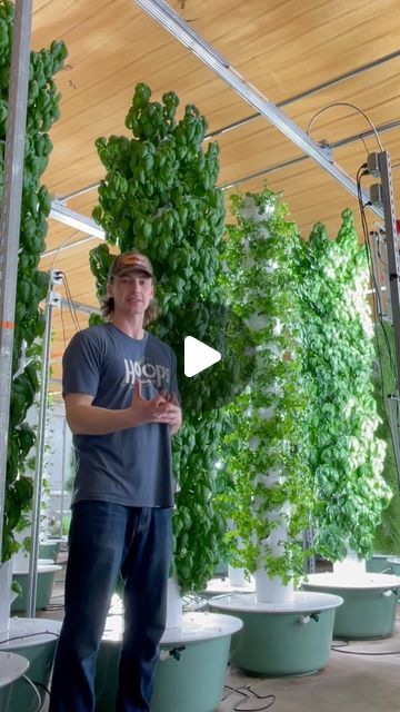 Agrotonomy on Instagram: "Aqua Garden is an indoor vertical farm located in Wisconsin, USA and features several hundred aeroponic towers that are integrated into an aquaponic system, where walleye fish play a vital role in providing nourishment to the crops. @aquagardenllc  #aquaponics #aeroponics #verticalfarming #agriculture #farming #soilless #aquaculture #hydroponics" Fish Garden Aquaponics System, Walleye Fish, Aqua Garden, Aquaponic System, Aqua Farm, Vertical Farm, Indoor Farming, Aquaponics Fish, Hydroponic Farming