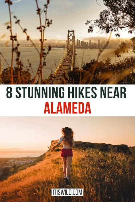 8 FANTASTIC Trails for Walking and Running near Alameda, CA Alameda California, Sitting On The Edge, Gone With The Wind, California Travel, On The Edge, Walking Tour, Hiking Trails, Bay Area, The Edge