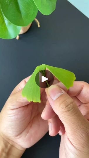 Birds Activities Preschool, Leaf Dragon, Flapping Bird, Planting For Kids, Mulberry Leaf, Paper Craft Ideas, Diy Birds, Ginkgo Leaf, Craft Projects For Kids