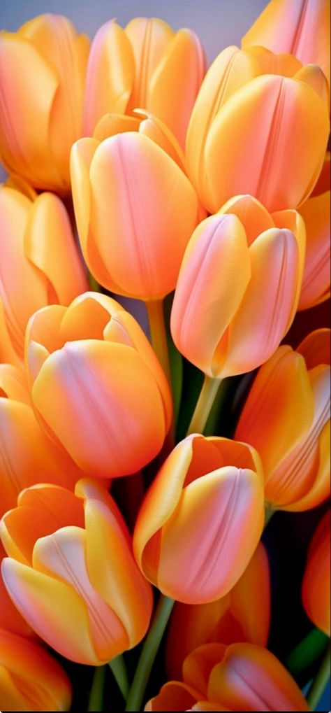 Tulip Painting, Lovely Flowers Wallpaper, Trending Pins, Spring Wallpaper, Flower Therapy, Floral Backdrop, Flower Art Images, Luxury Flowers, Flower Phone Wallpaper