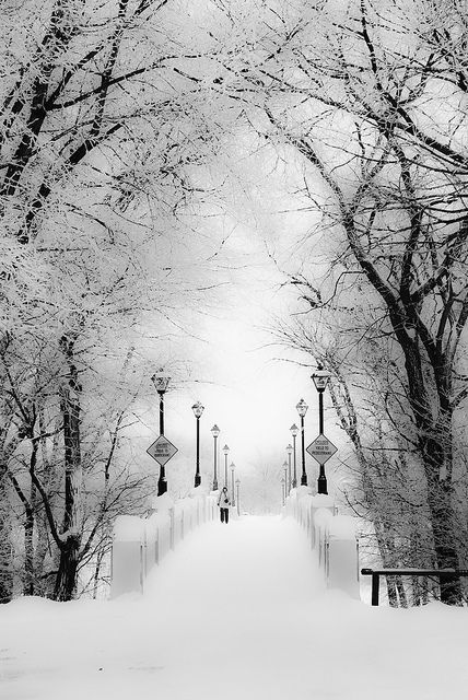 Explore anthonyfernando2's photos on Flickr. anthonyfernando2 has uploaded 243 photos to Flickr. Manitoba Canada, Winnipeg Manitoba, Winter Photos, A Park, Winter Aesthetic, Winter Snow, Lamps, Bridge