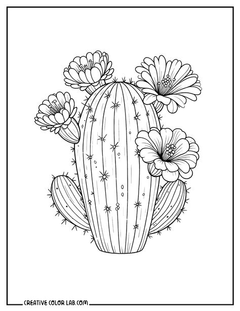 Flower Coloring Pages For Kids, Cactus Outline, Train Sketch, Flower Coloring Sheets, Sunflower Coloring Pages, Printable Flower Coloring Pages, Cactus Drawing, Flowers Coloring, Spring Coloring Pages