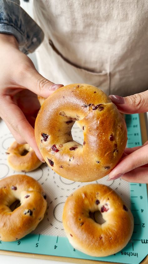 Cranberry Bagels Cranberry Bagels, Types Of Bagels, Bagel Recipes, Bagel Recipe Easy, Flavored Cream Cheeses, Homemade Bread Recipes Easy, Bagel Recipe, Fairy Clothes, Easy Bread Recipes