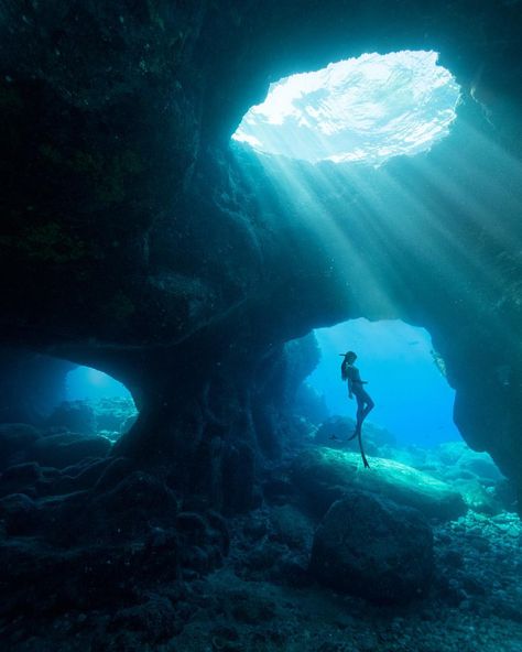 35.6k Likes, 391 Comments - Travis Burke (@travisburkephotography) on Instagram: “Being inside a cave underwater on a single breath of air both terrifies and exhilarates me. Here is…” Alien Ocean, Underwater Caves, Mermaid Core, Under The Water, Underwater Photos, Liquor Bottle, Ocean Wallpaper, Water Photography, Underwater Photography