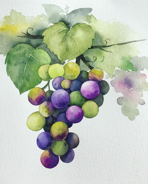 Grapes Watercolor, Artwork Creative, Flower Art Drawing, Watercolor Fruit, Diy Watercolor Painting, Watercolor Projects, Loose Watercolor, Watercolor Sketchbook, Watercolor Painting Techniques