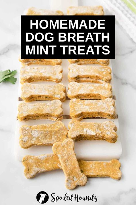 Homemade Fresh Breath Dog Treats, Diy Mint Dog Treats, Diy Fresh Breath Dog Treats, Homemade Dog Dental Treats, Diy Dog Teeth Cleaning Treats, Dog Mints Homemade, How To Freshen Dogs Breath, Diy Dental Dog Treats, Diy Dog Treats For Bad Breath