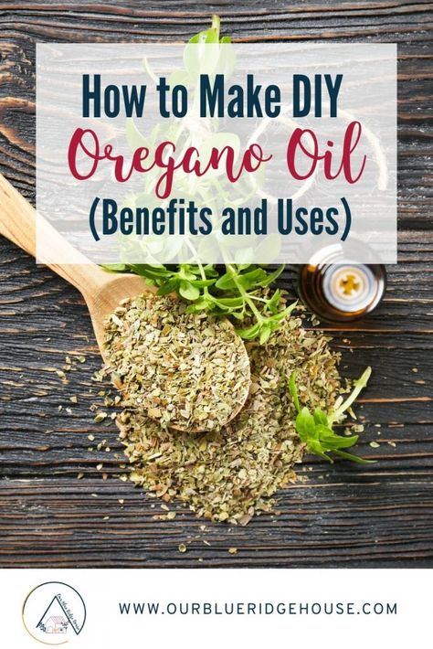 Diy Oregano Oil, Oil Of Oregano, Oregano Oil Benefits, Herbal Medicine Recipes, Herbal Remedies Recipes, Oregano Essential Oil, Medicinal Herbs Garden, Medical Herbs, Oregano Oil