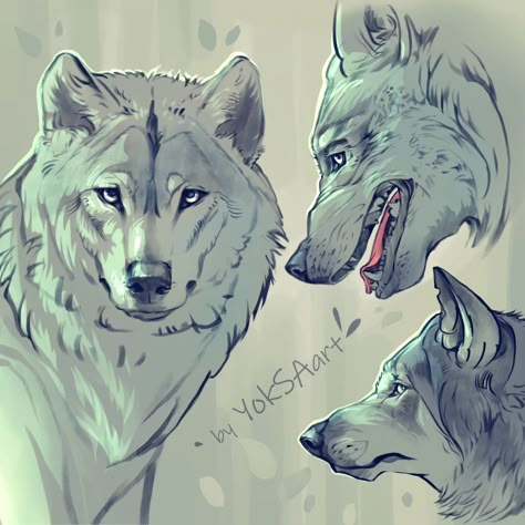 Today's sketch: a bit of a wolf portraits . . . . . #digitalart #sketchingjourney #sketch #wolfportrait #dailyart #artistoninstagram Grey Wolf Drawing, Wolf Art Reference, Wolf Sketches, Structure Sketch, Wolf Fursona, Wolf Art Drawing, Anthro Character, Wolf Poses, Red Riding Hood Art