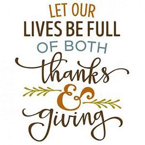 best gratitude quotes thanksgiving quotes thankful memes to share social media feeling thankful Thanks And Giving, November Quotes, Giving Quotes, Thankful Quotes, Feeling Thankful, Thanks Giving, Holiday Quotes, Thanksgiving Quotes, Happy Fall Y'all