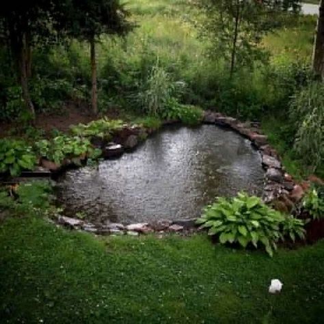 19+ Gorgeous Backyard Ponds Water Garden Landscaping Ideas - lmolnar Backyard Ponds And Waterfalls, Kolam Koi, Backyard Ponds, Taman Air, Pond Garden, Garden Pond Design, Diy Pond, Small Pond, Ikan Koi