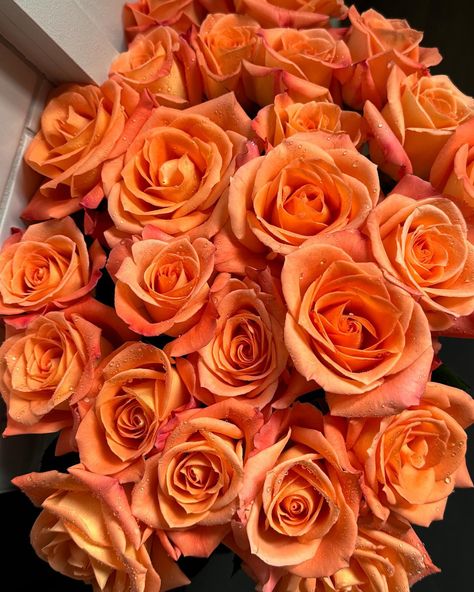 🧡 #flowers #roses #flowerbouquet #fleurs #aesthetic #ａｅｓｔｈｅｔｉｃ #aesthetically #aestheticphotography #simplepleasures Peach Flowers Aesthetic, Tan Roses Aesthetic, Fleurs Aesthetic, Peach Roses Aesthetic, Aesthetic Yellow Roses, Peach Colored Roses, Peach Rose, Peach Roses, Aesthetic Aesthetic