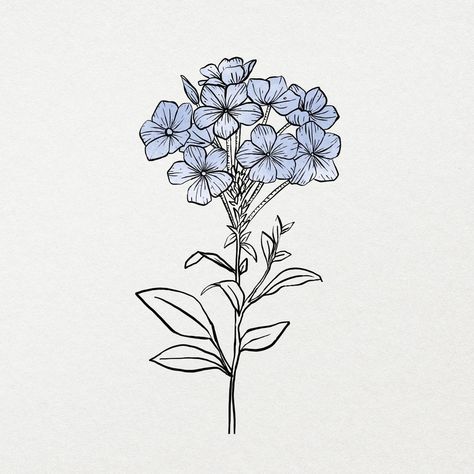 Blue watercolor flower line art, aesthetic botanical design | free image by rawpixel.com / Aum Blue Flowers Drawing, Icon Aesthetic Beige, Aesthetic Square, Wildflower Drawing, Sketch Reference, Blue Rose Tattoos, Rose Sketch, Floral Line Art, Blue Drawings